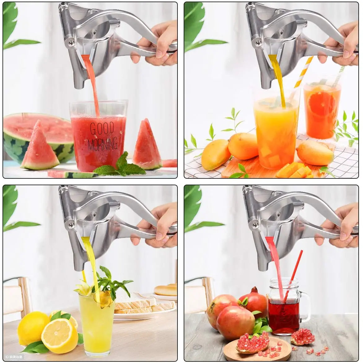 EA-ZY Fruit Juicer