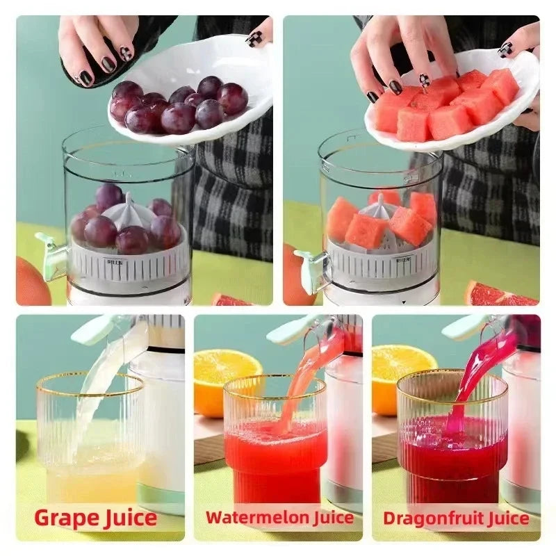 Portable Fruit Juicer